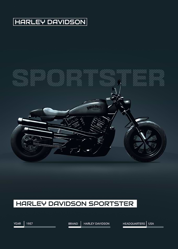 174harleydavidsonsports