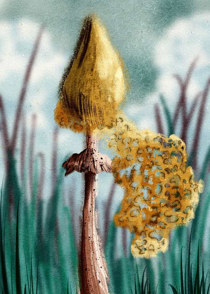 lotus painting