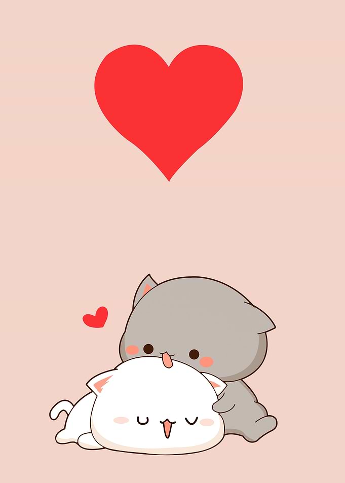 bear love cute animal