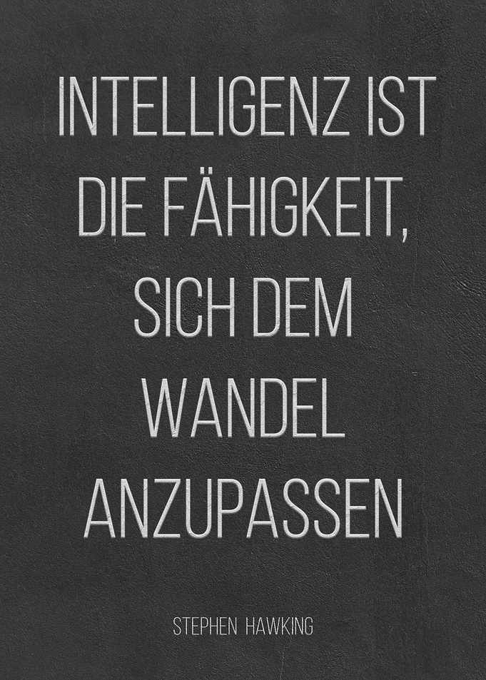 Hawking Zitat