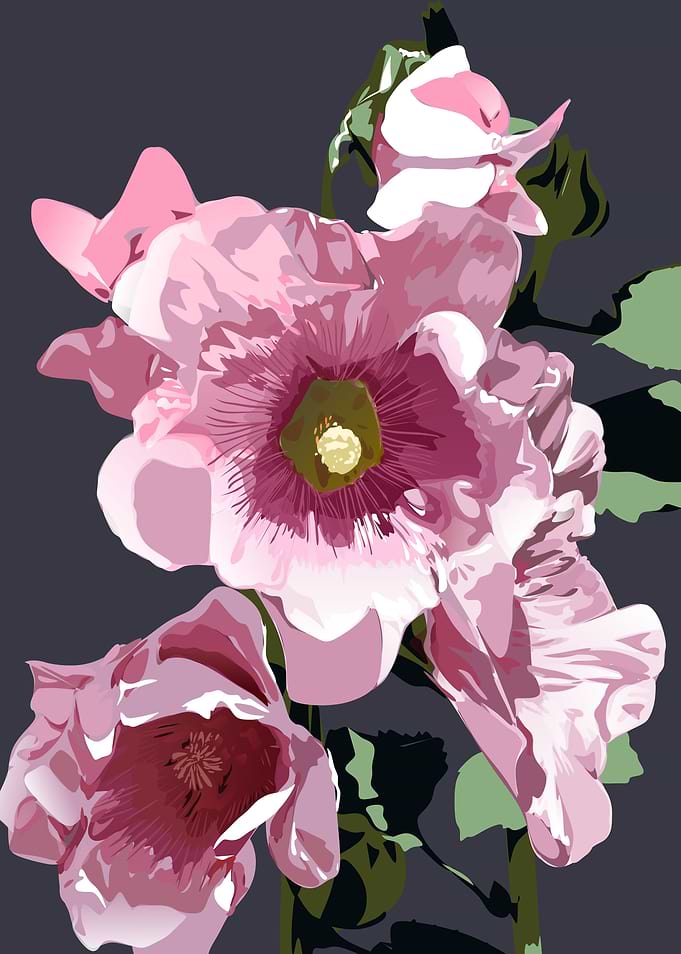 flowers flowers