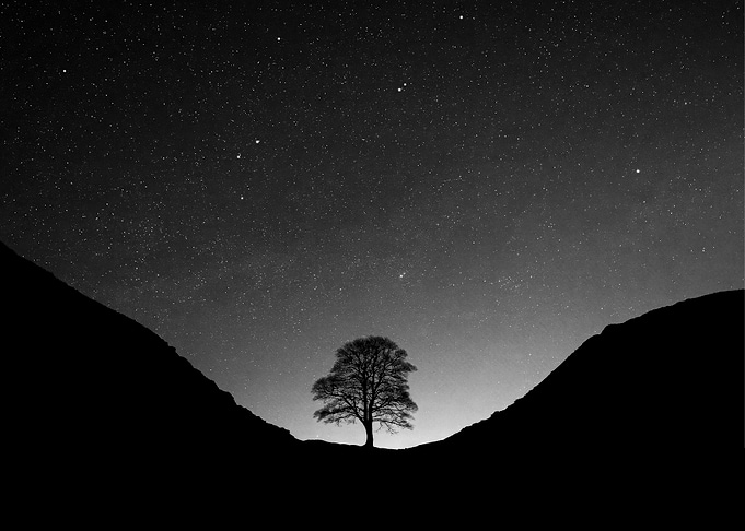 Night
