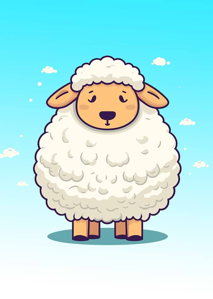 cute sheep animal