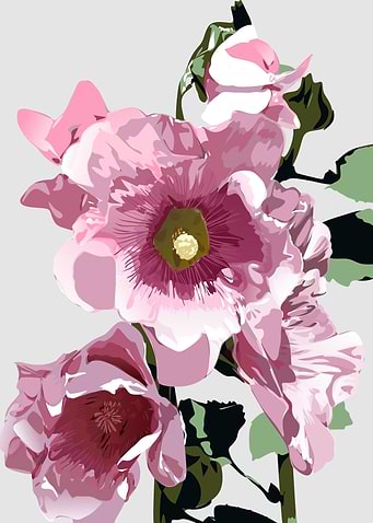 flowers flowers