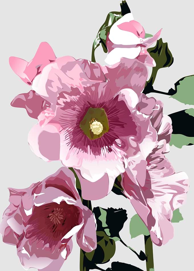 flowers flowers