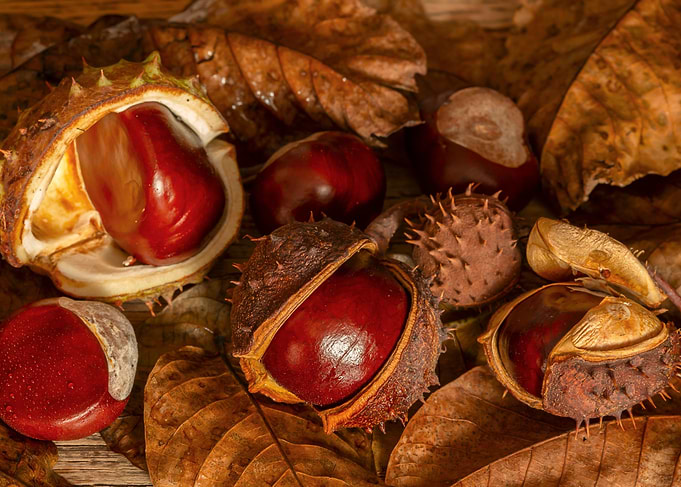Chestnuts