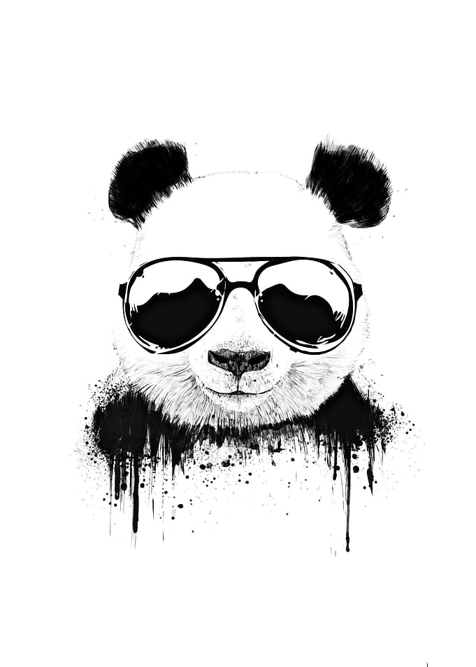 panda