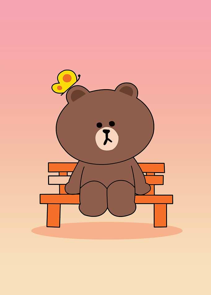 bear brown cute animal