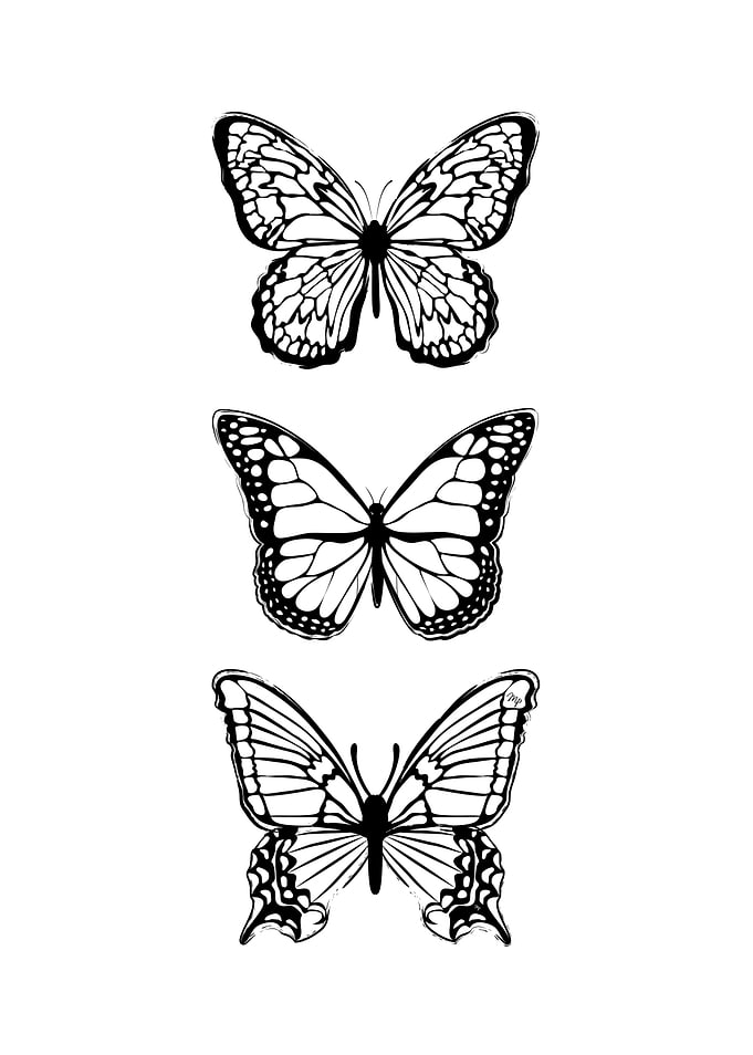 Elegant black butterflies