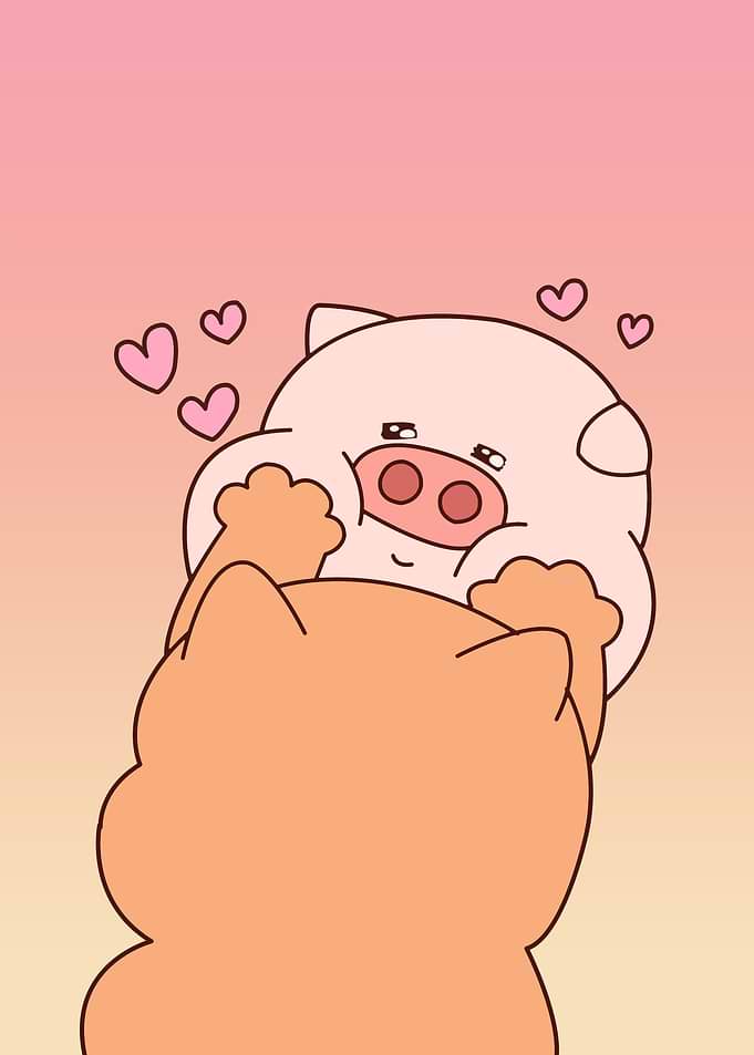 pig cute animal