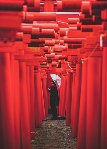 Infinite Gate