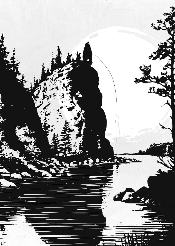 Wild Bear Soul