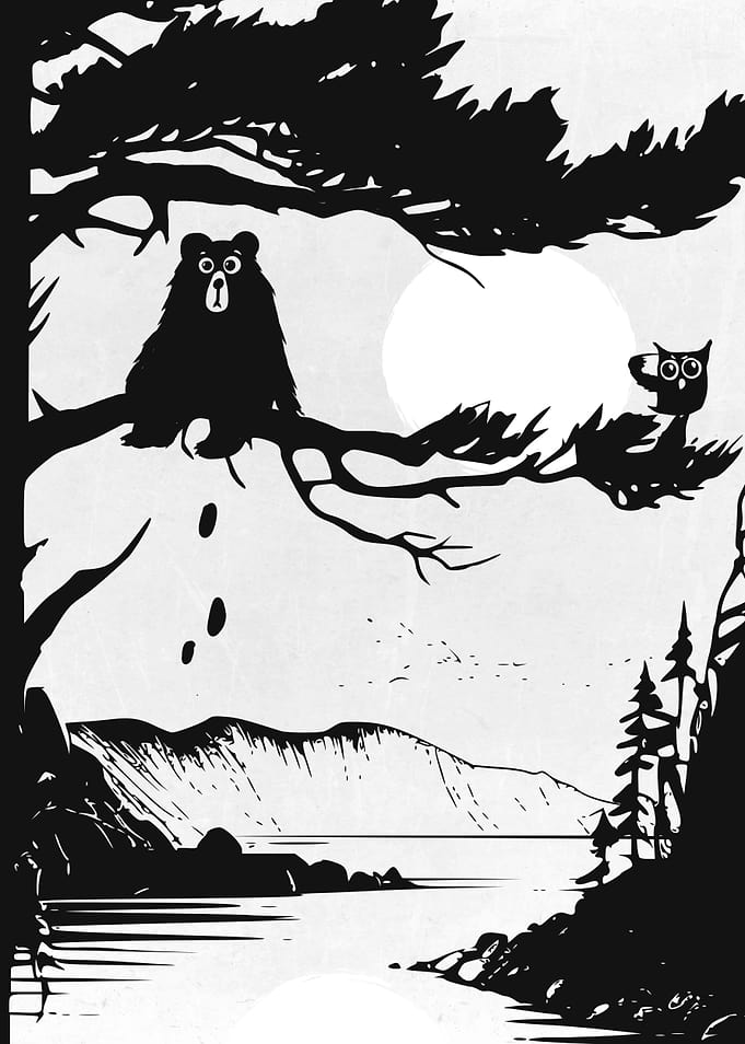 Wild Bear Soul
