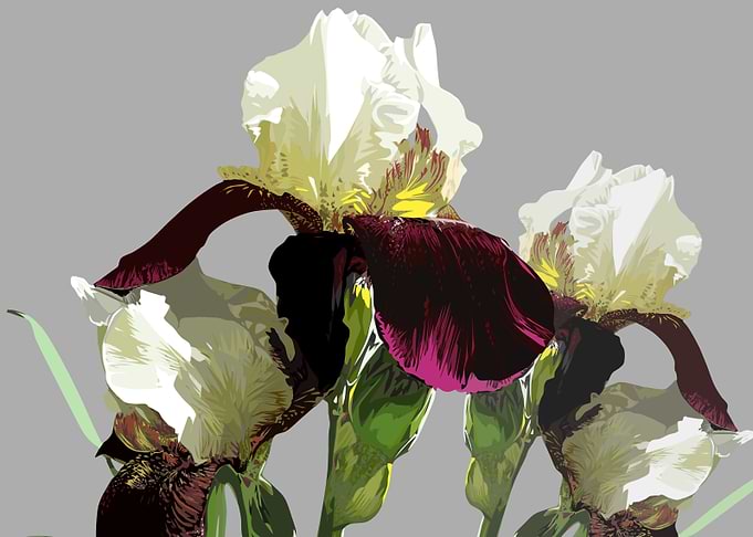 flowers
