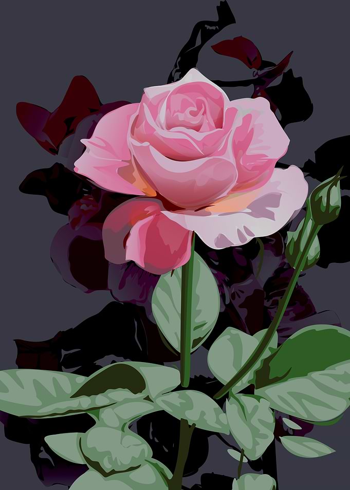 flowers