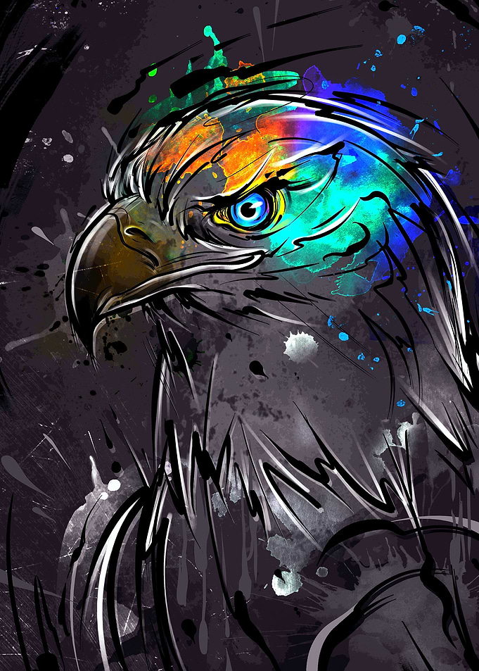 Eagle Draw