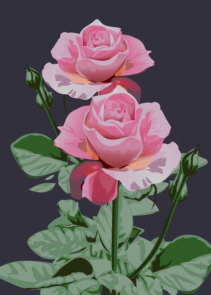flowers