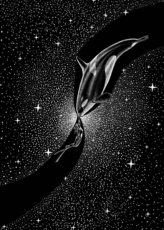 Starry Orca and diver