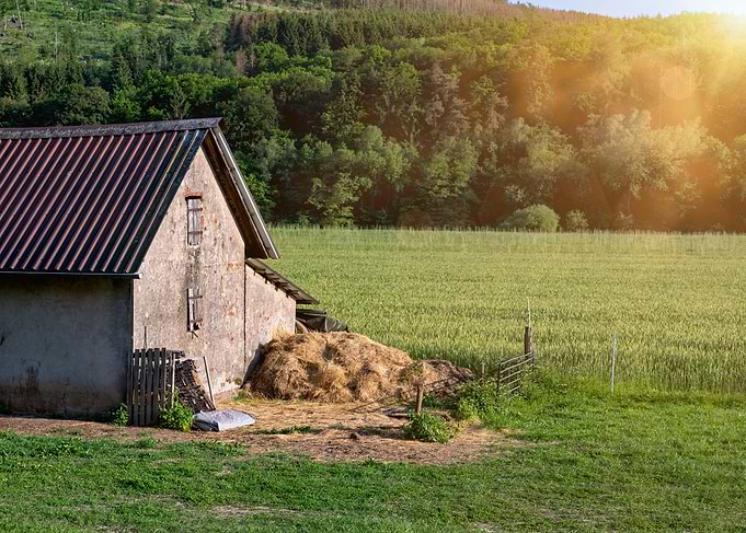 The old barn