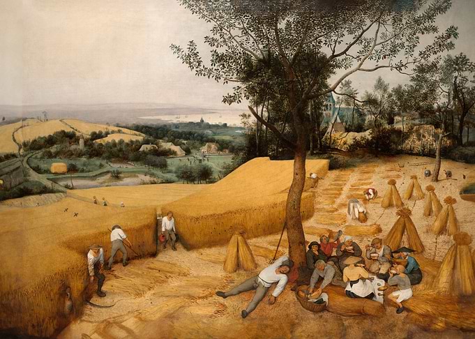 The corn Harvesters