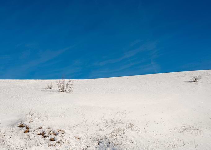 Lots of snow