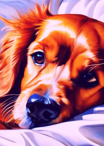Cute Dog Face Illustration