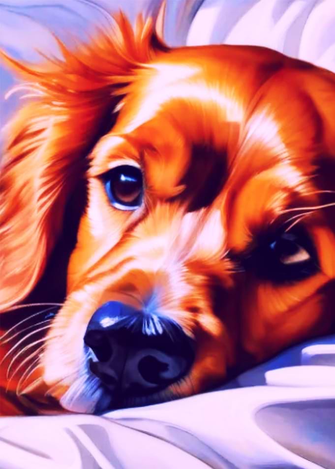 Cute Dog Face Illustration