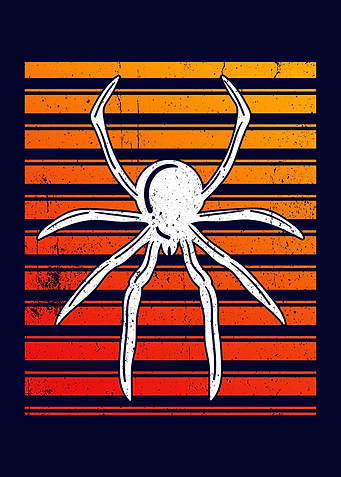 Spider Owner Spiders