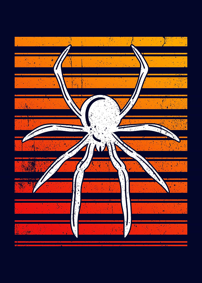 Spider Owner Spiders