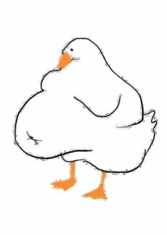 Duck Meme
