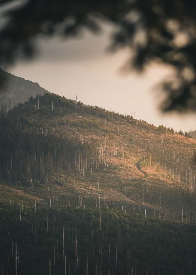 Path in mountains