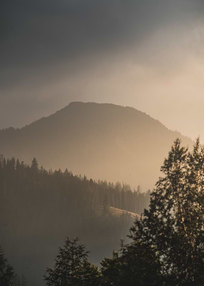Fog and sunset