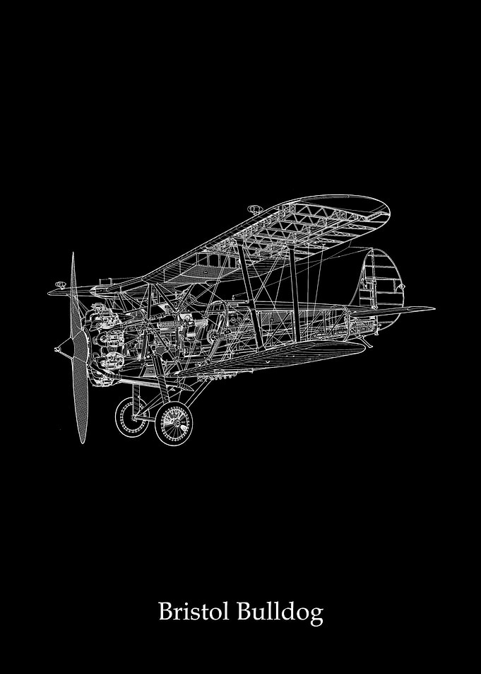 Bristol Bulldog