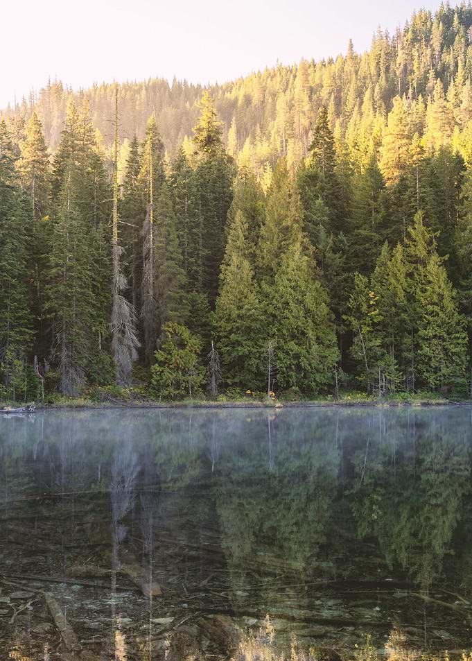 Alpin Lake and Forest PNW
