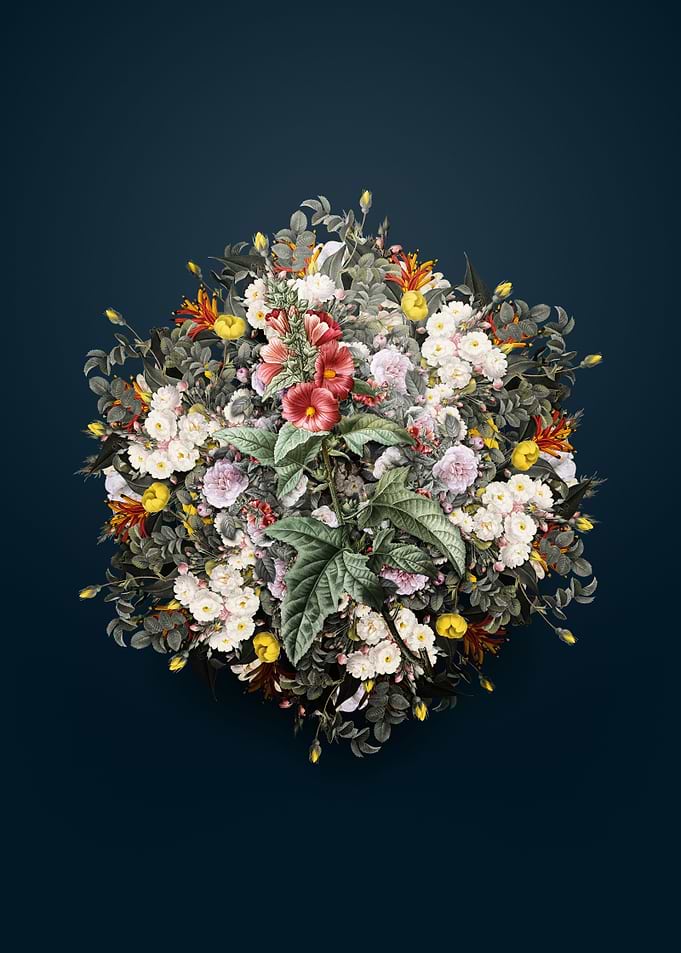 Tree Mallow Flower Wreath