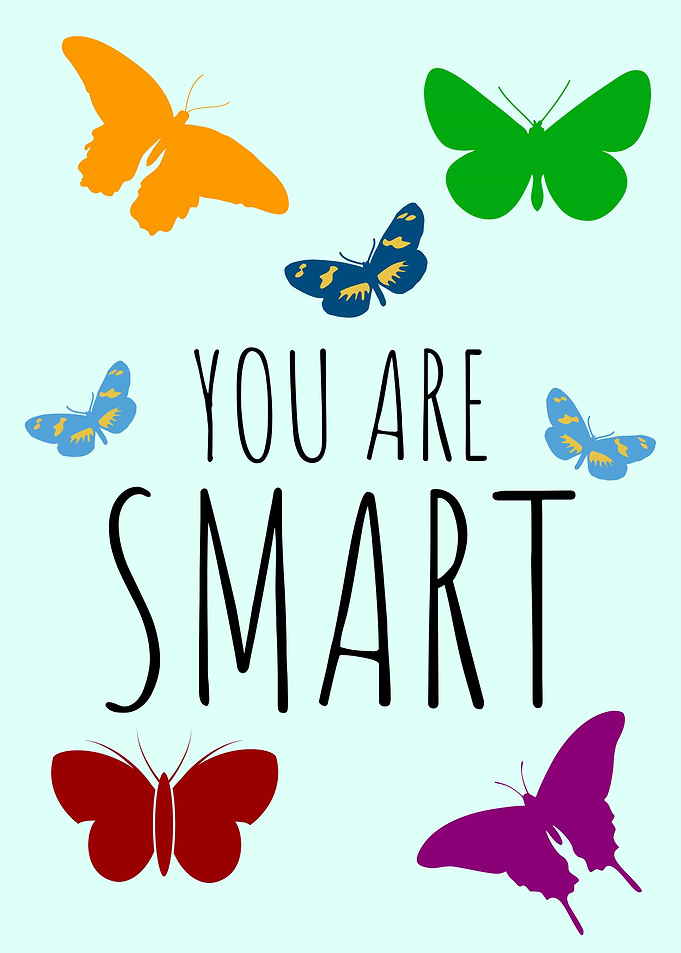 SMART BUTTERFLY