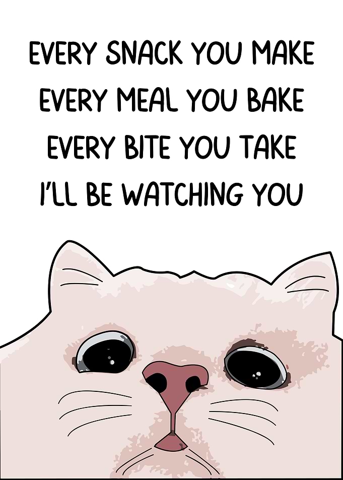 Funny Cat Always Watching