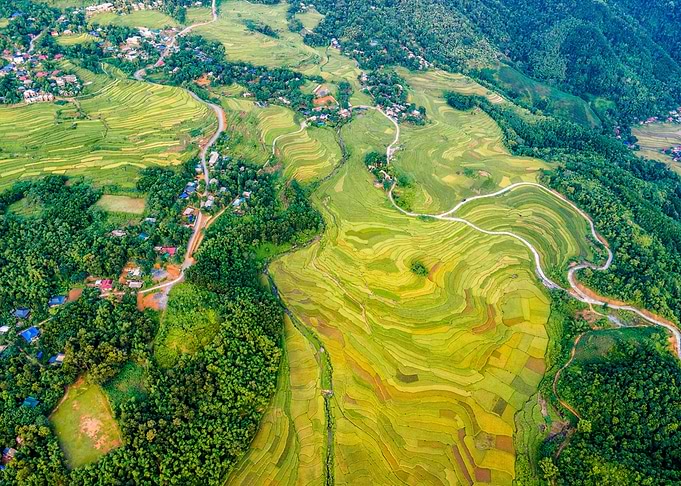 Mountainous rice fields