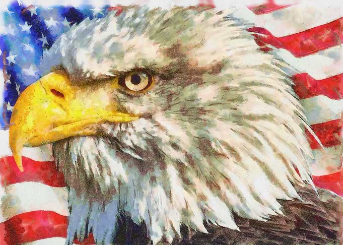 Patriotic Eagle