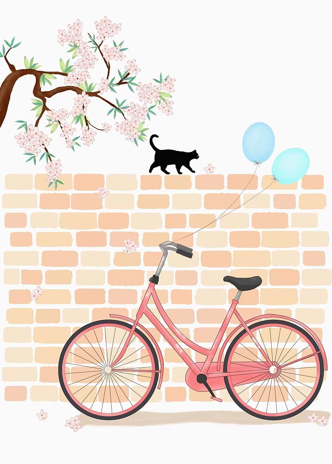 Summer Byicycle Cat