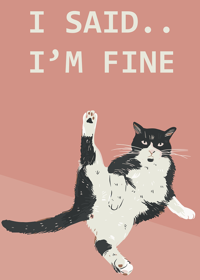 Funny Cat