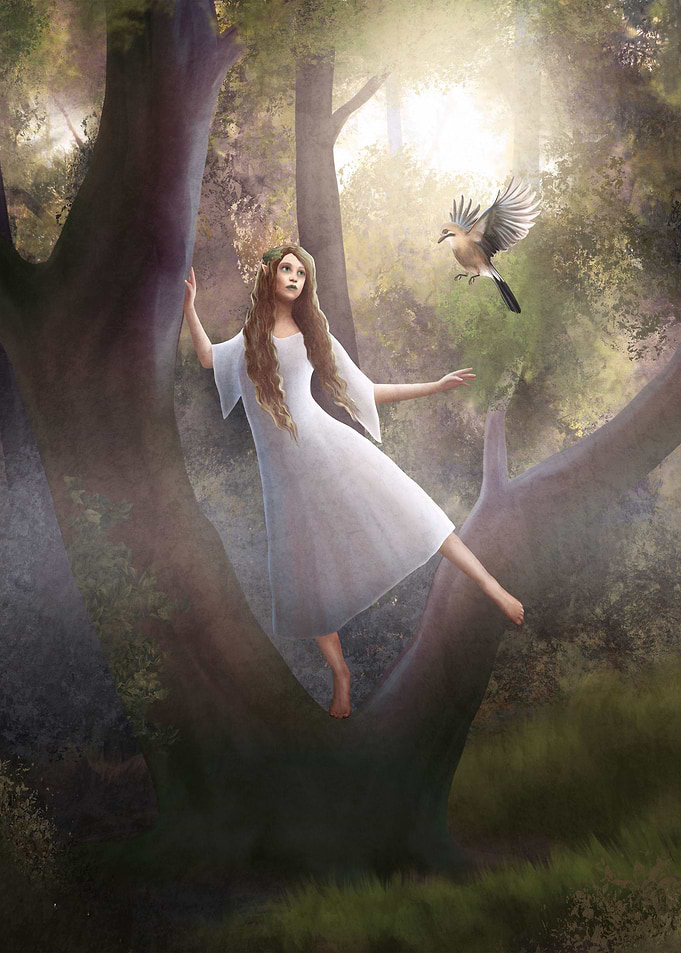 Morning in the Elven Fores
