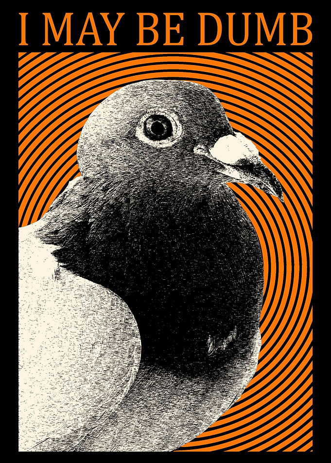 I May Be Dumb Pigeon
