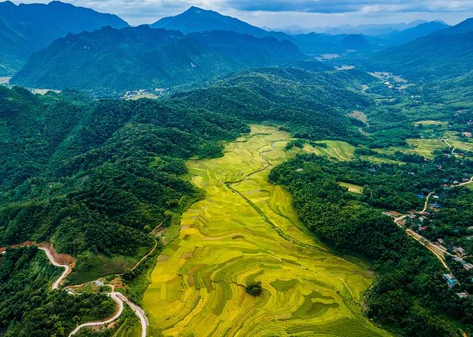 Mountainous rice fields