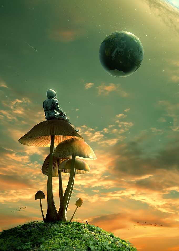 A Trip II