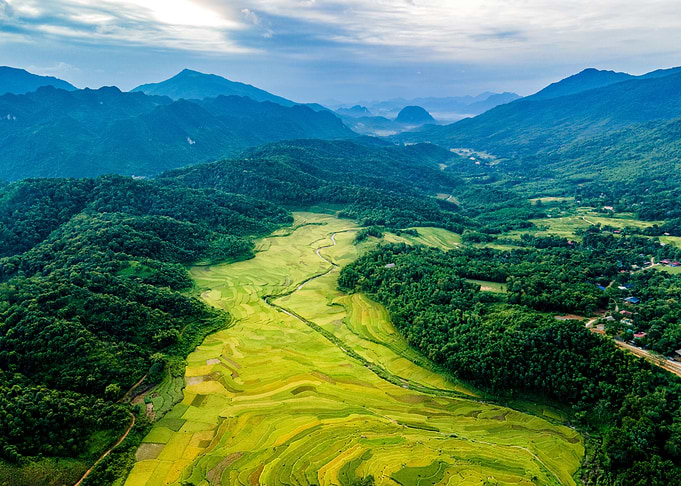 Mountainous rice fields