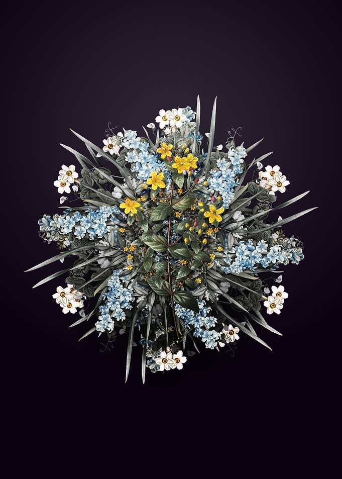 Stinking Tutsan Wreath