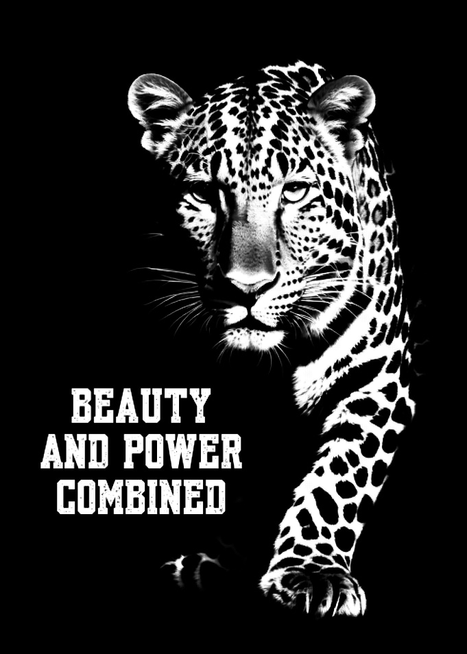 Cheetah silhouette