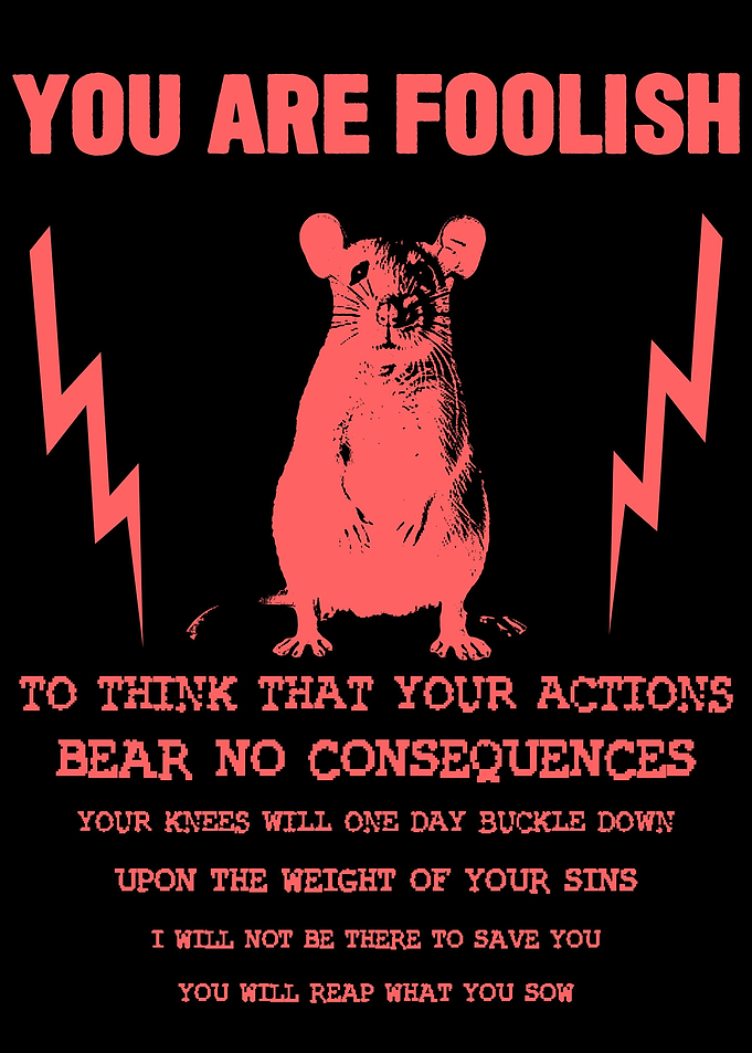 You Are Foolish Rat