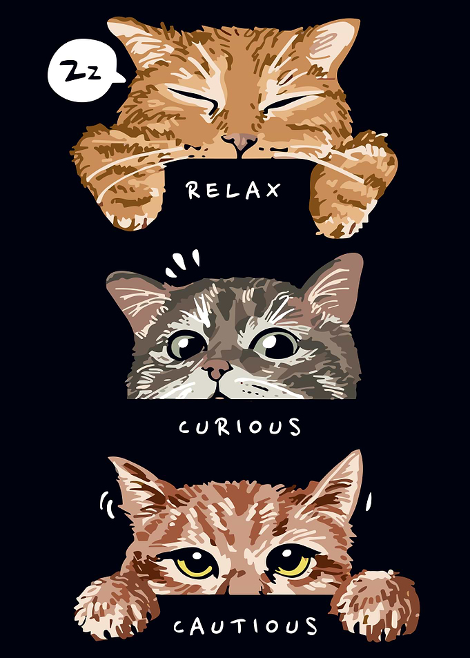 Funny Cat